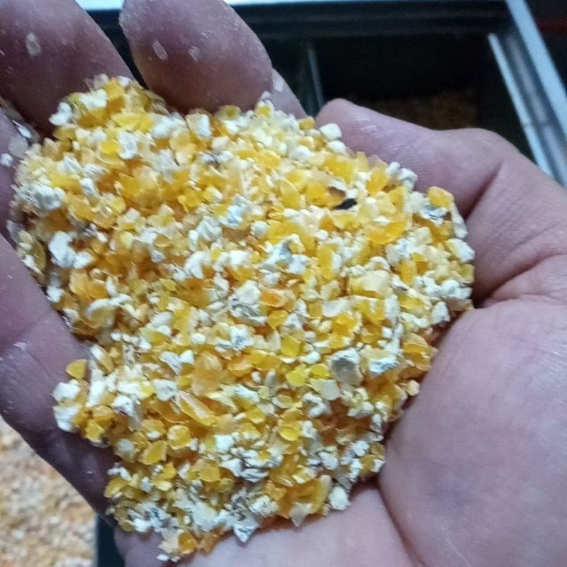 Quirera de milho  fina média grossa 5 kg