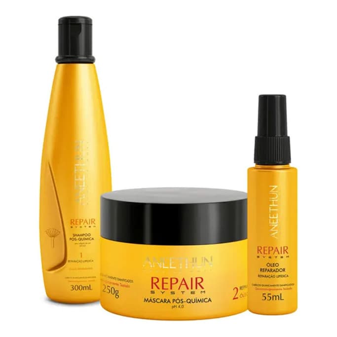 Kit Aneethun Repair System Shampoo Máscara Óleo Reparador .