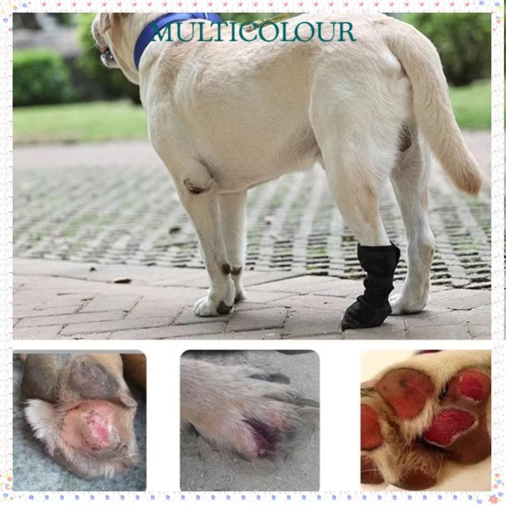 Bota De Proteção Para Cães Multicolor , Protetor De Patas De Cachorro Anti-Lamber À Prova D'água , Sapato De Recuperação