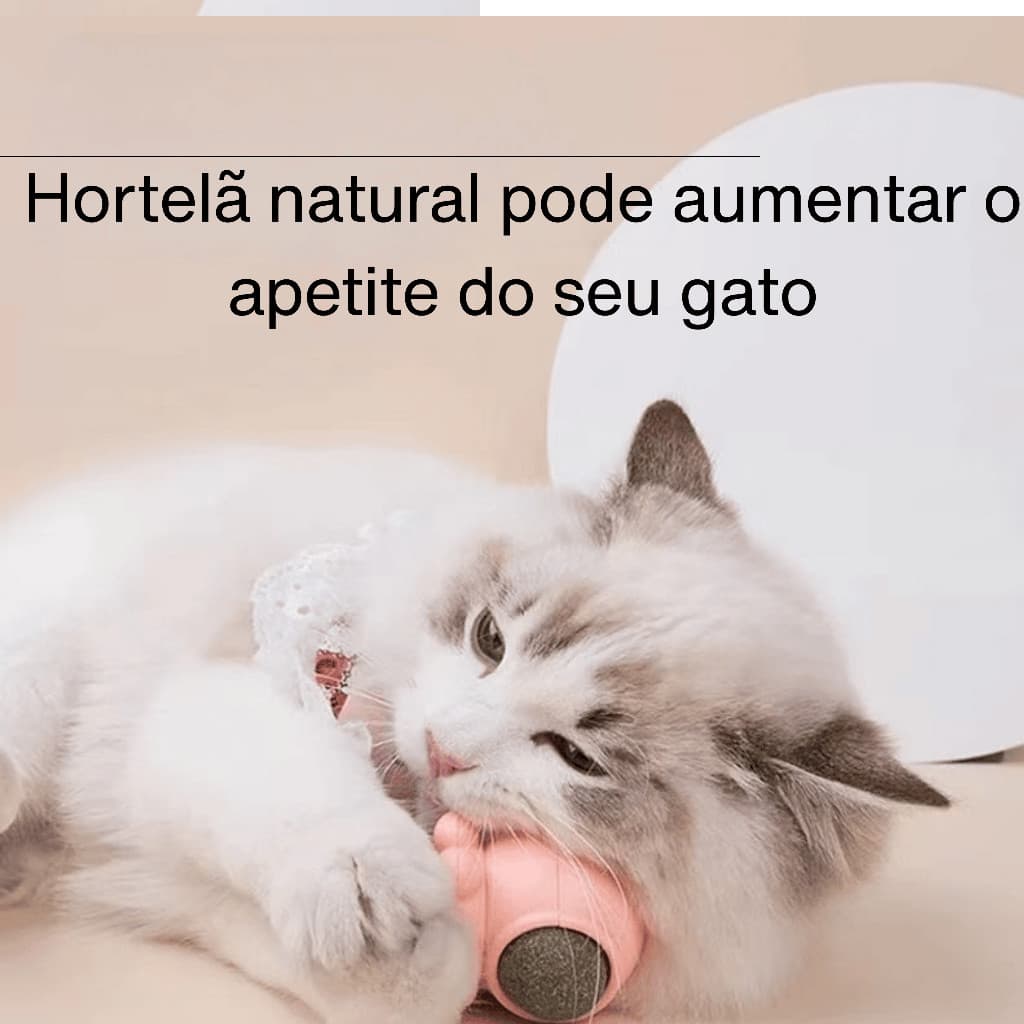 Polvo De Brinquedo Interativo Para Gatos Com Catnip Erva Gato Natural Lambe Lambe