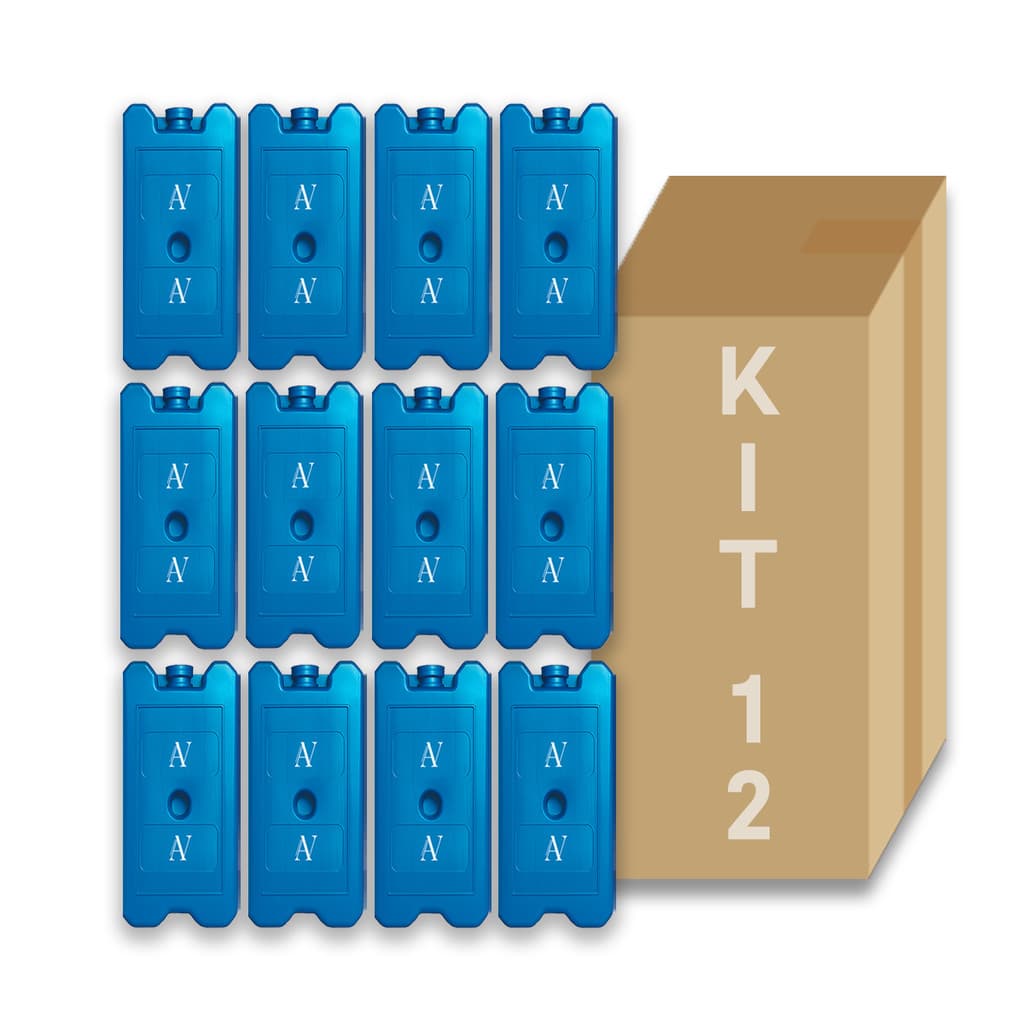 Gelo Artificial Rígido Reutilizável 1000ml Kit C/ 12 Unidade