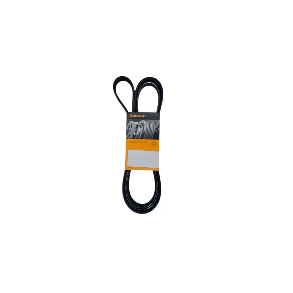 Correia Poli V Conti 5pk 1345
