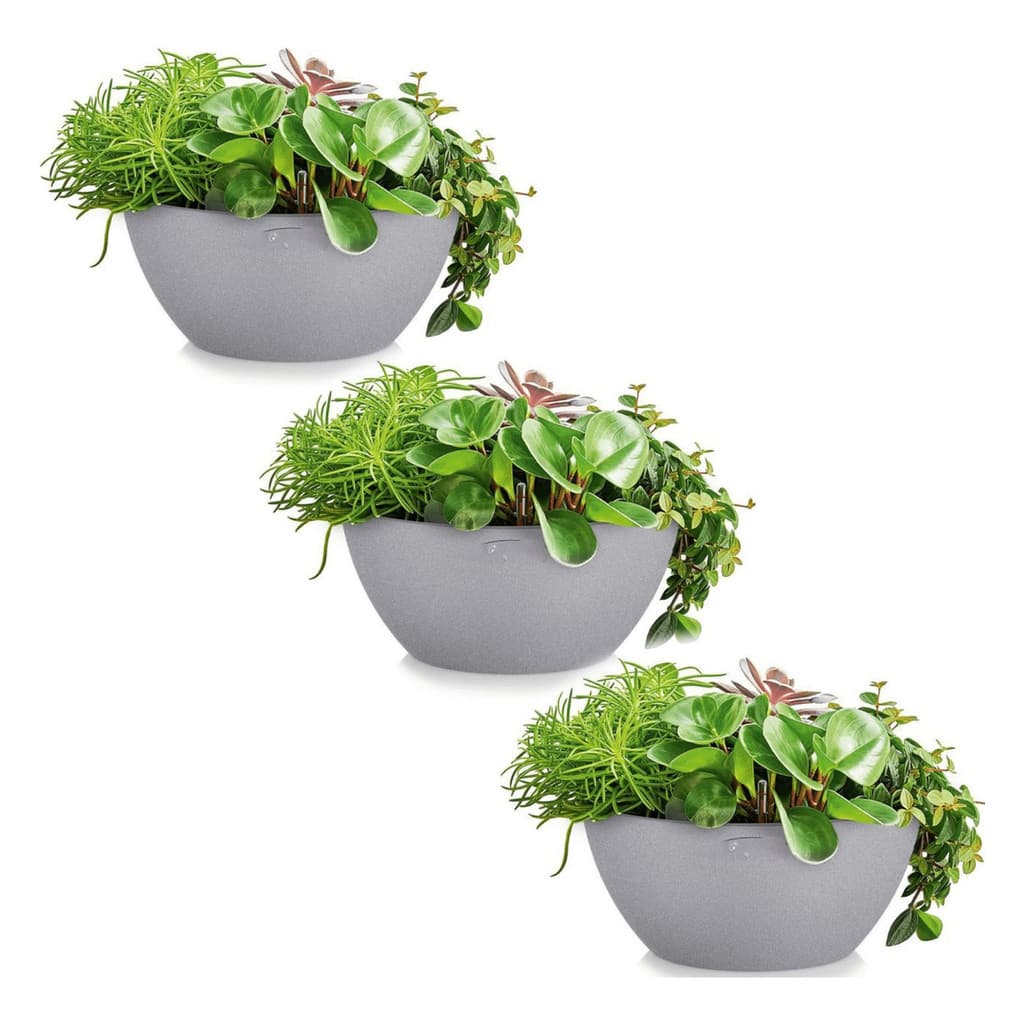 Kit 3 Vasos Para Plantas Suculenta Rosa Do Deserto 35cm
