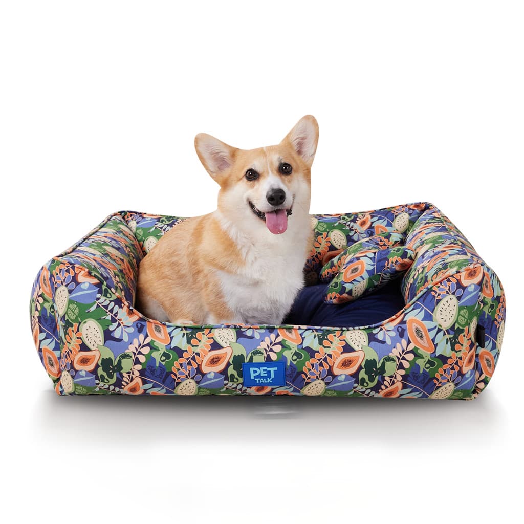 PETTALK Cama Pet Quadrada gato e cãe Frutas Tropicais