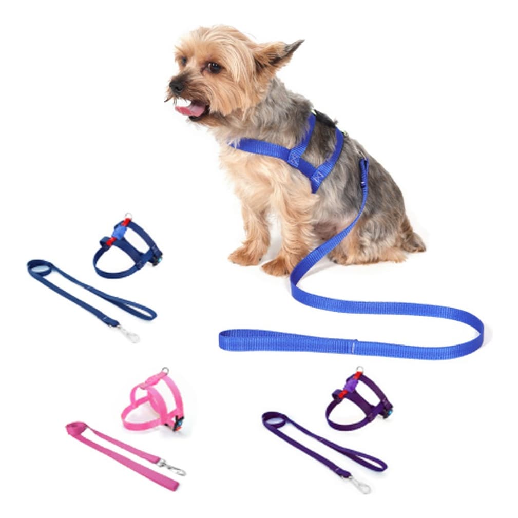 Coleira Peitoral Tradicional Pet Com Guia Cachorro Dog Pequeno