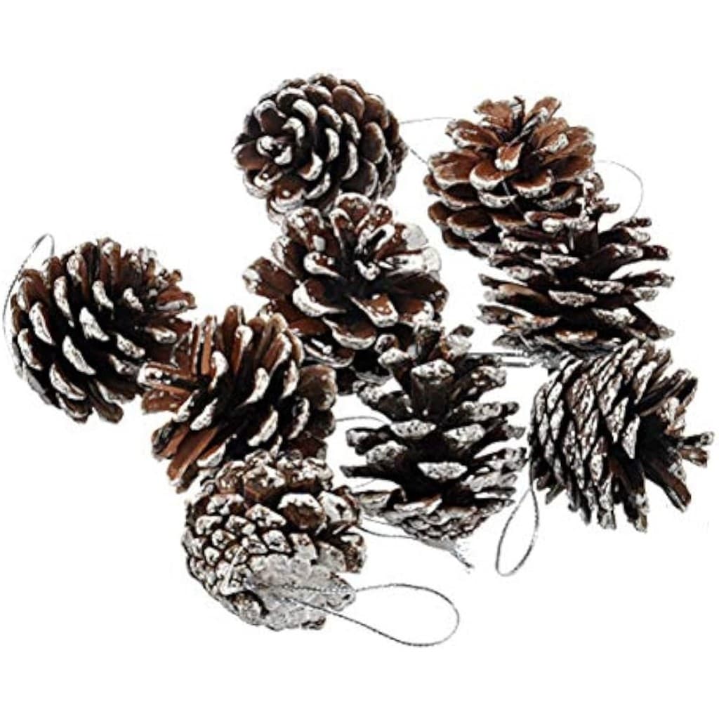 Kit 12 Pinhas Naturais Enfeite Natal Árvore Nevada 5cm