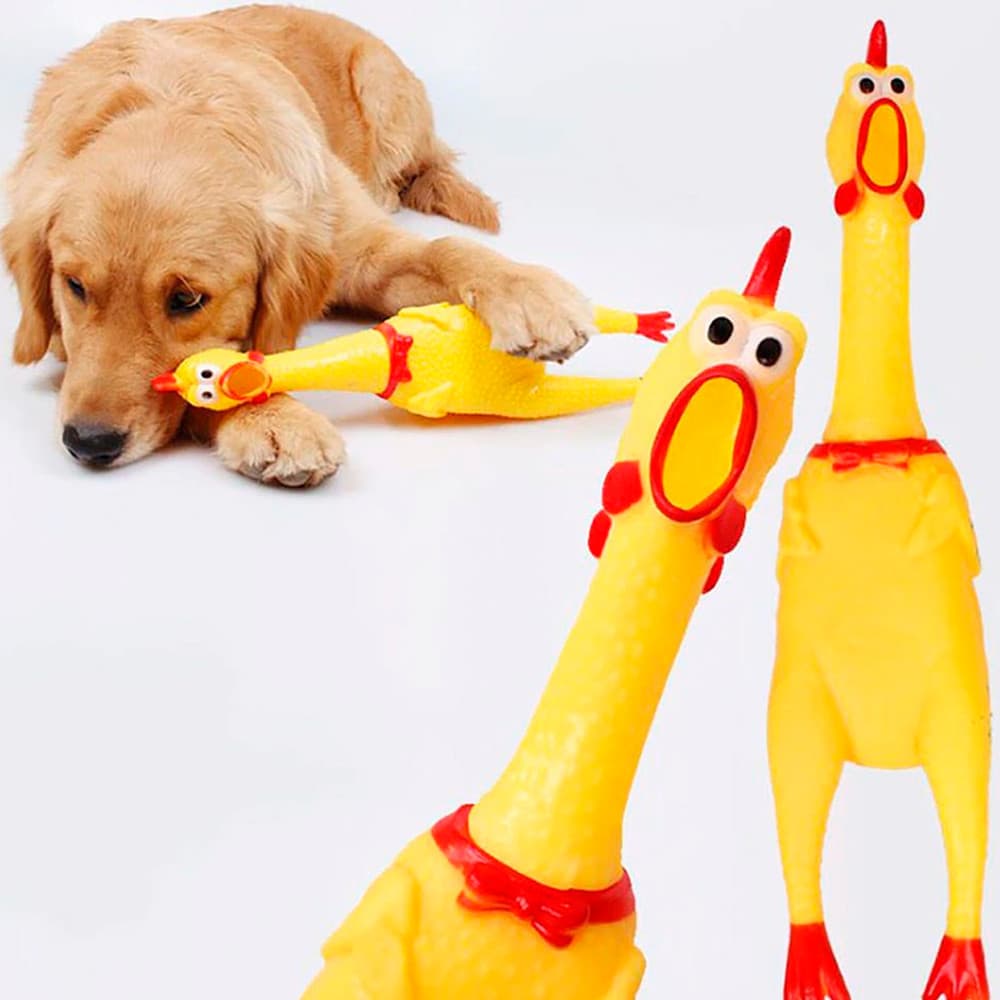 Frango Galinha de Borracha com Apito Mordedor e Brinquedo para Pet 40cm Faz Barulho