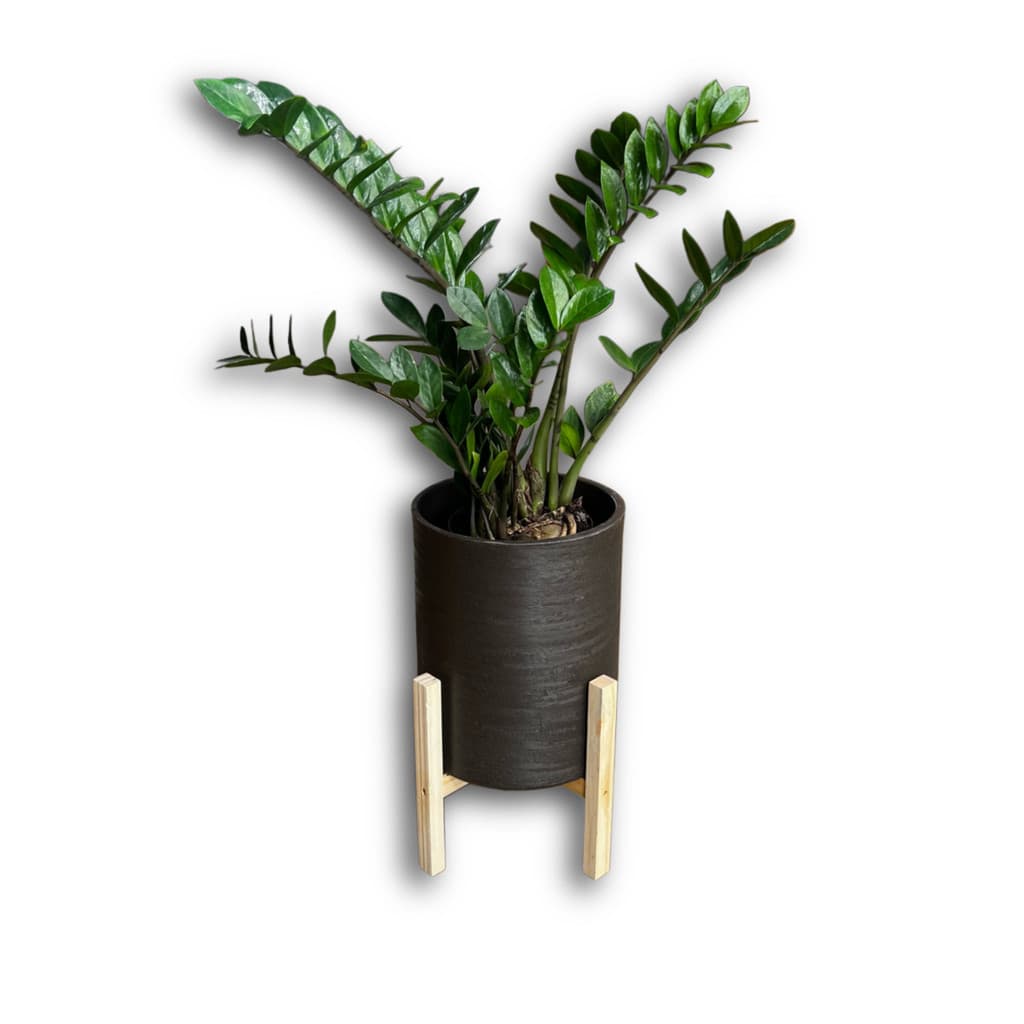 Vaso Redondo para Plantar com Suporte Madeira Pinus Tripé
