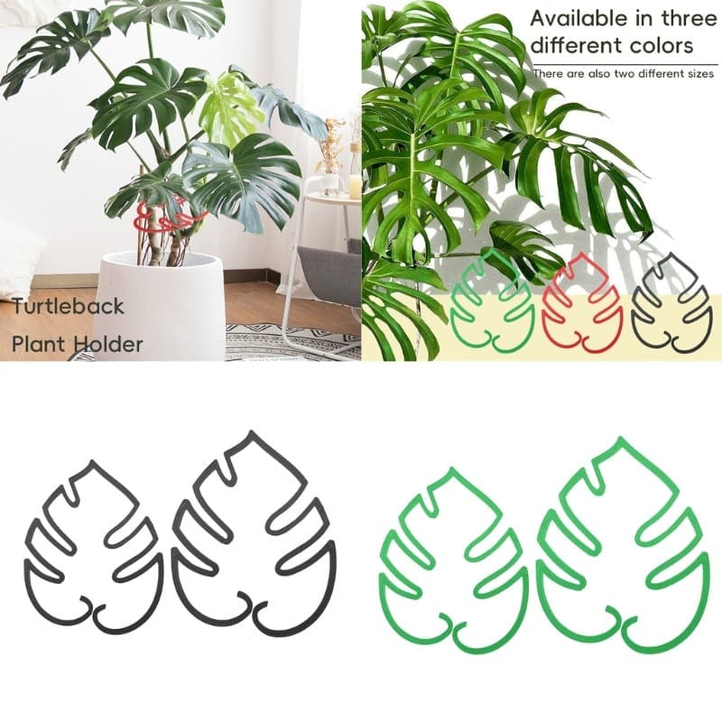 Conheça 2 Unidades De Suporte De Planta Estabilizador Para Apoiar Monstera E Flores