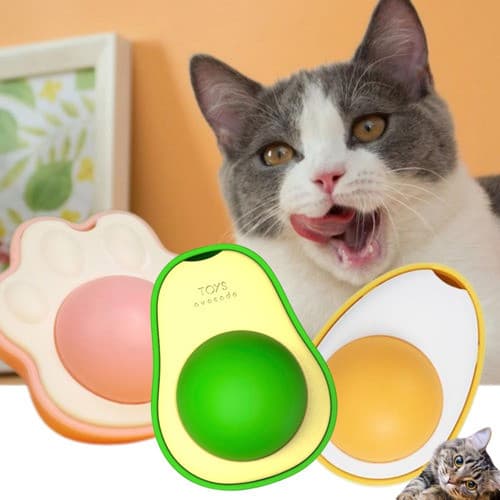 Kit 3 Abacate Catnip Erva Natural Brinquedo para Gatos de lamber Antistress Relaxante