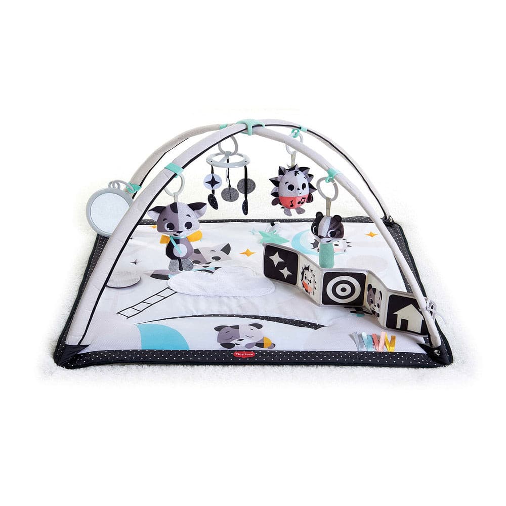 Tapete de Atividade Gymini Magical Tales - Tiny Love