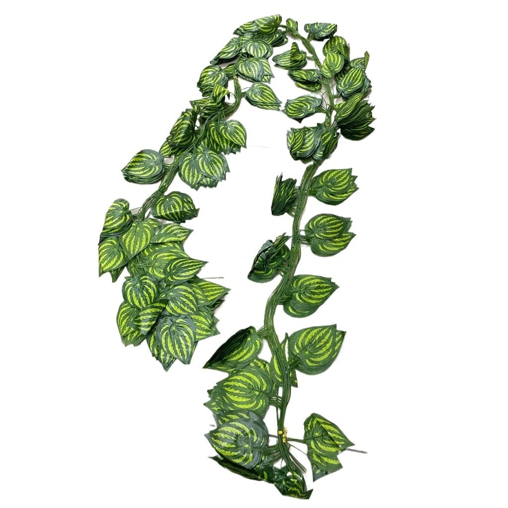 Folhas de Uva, Melancia e Trepadeiras para Decorar/0035