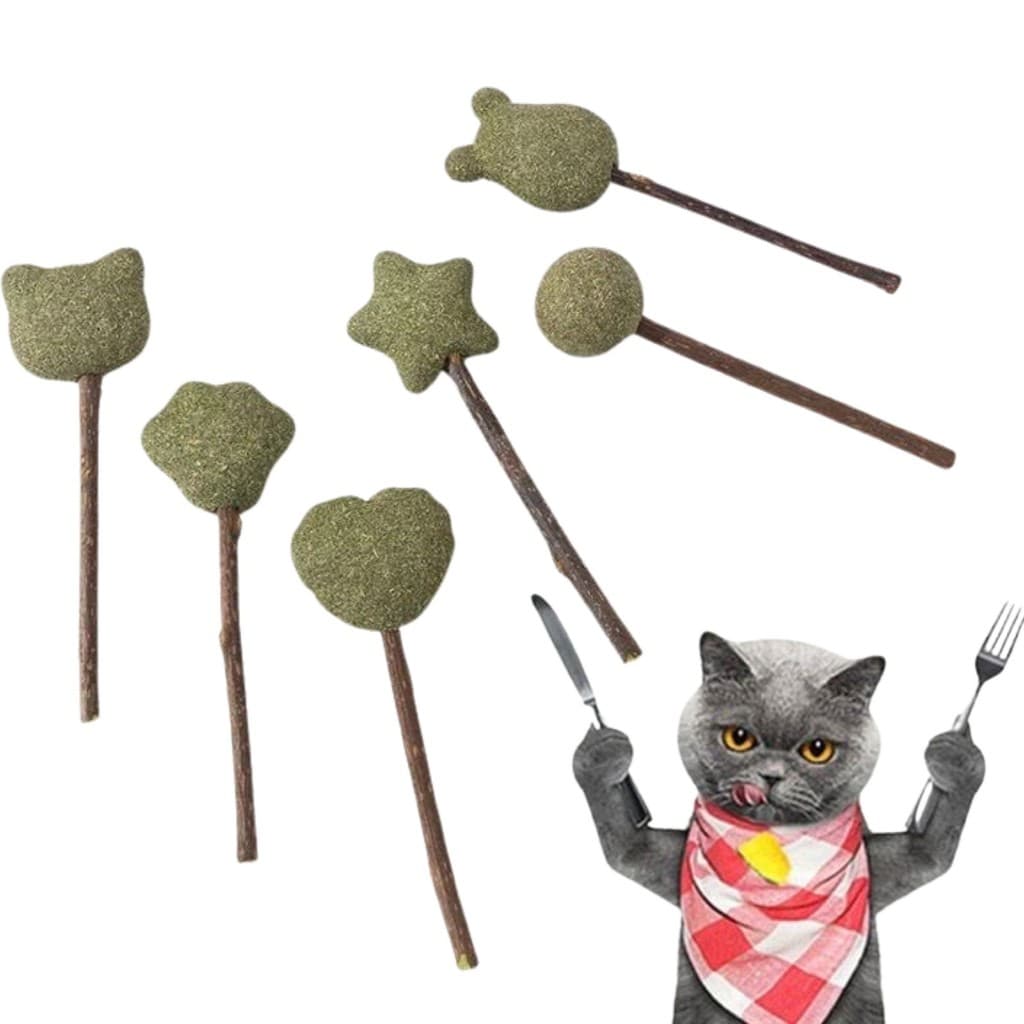 Brinquedo Interativo para gatos Pirulito Brinquedo Gato Catnip Matatabi Erva Varinha Kit com 03