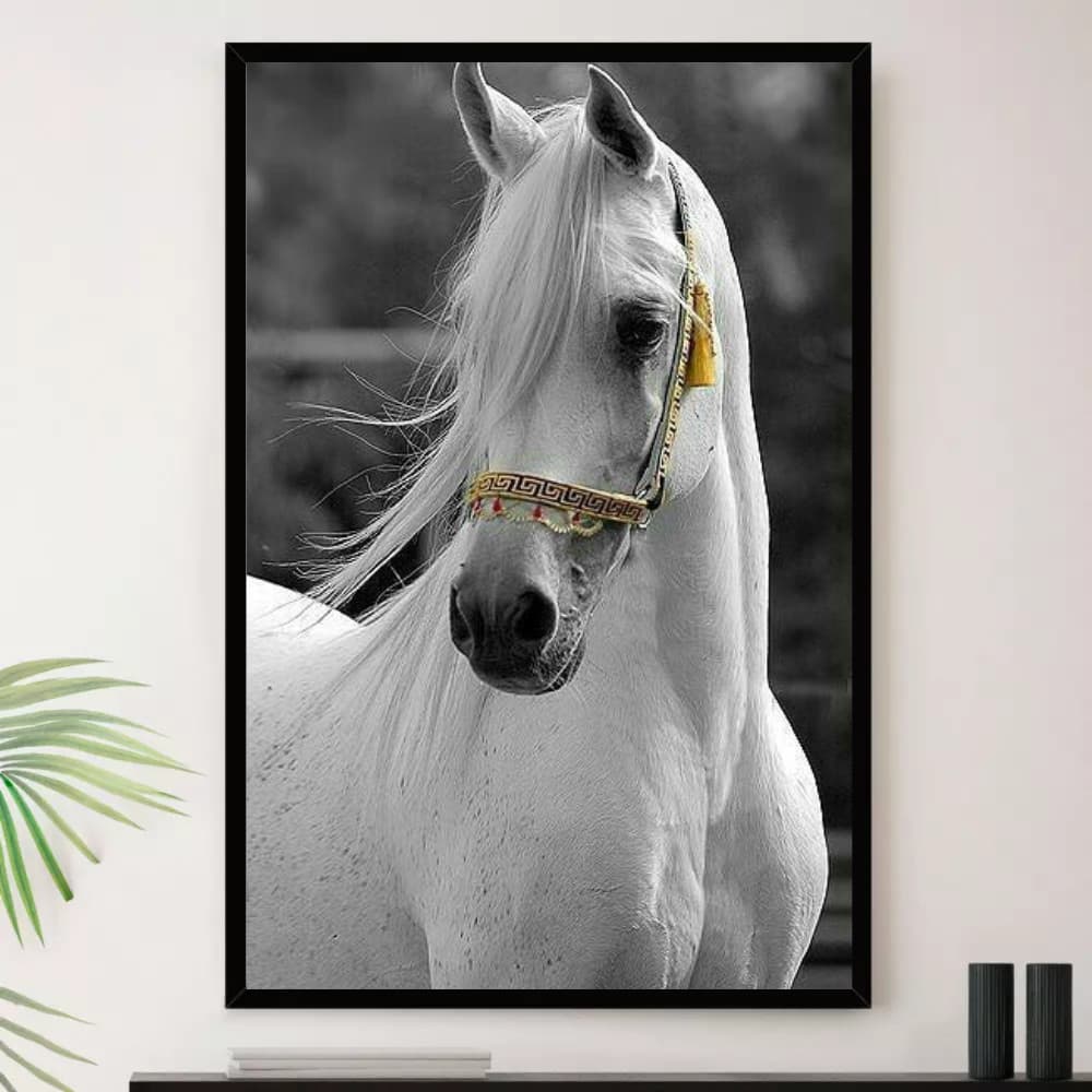 Quadro Cavalo Branco Lindo Sala Quarto Decorativo