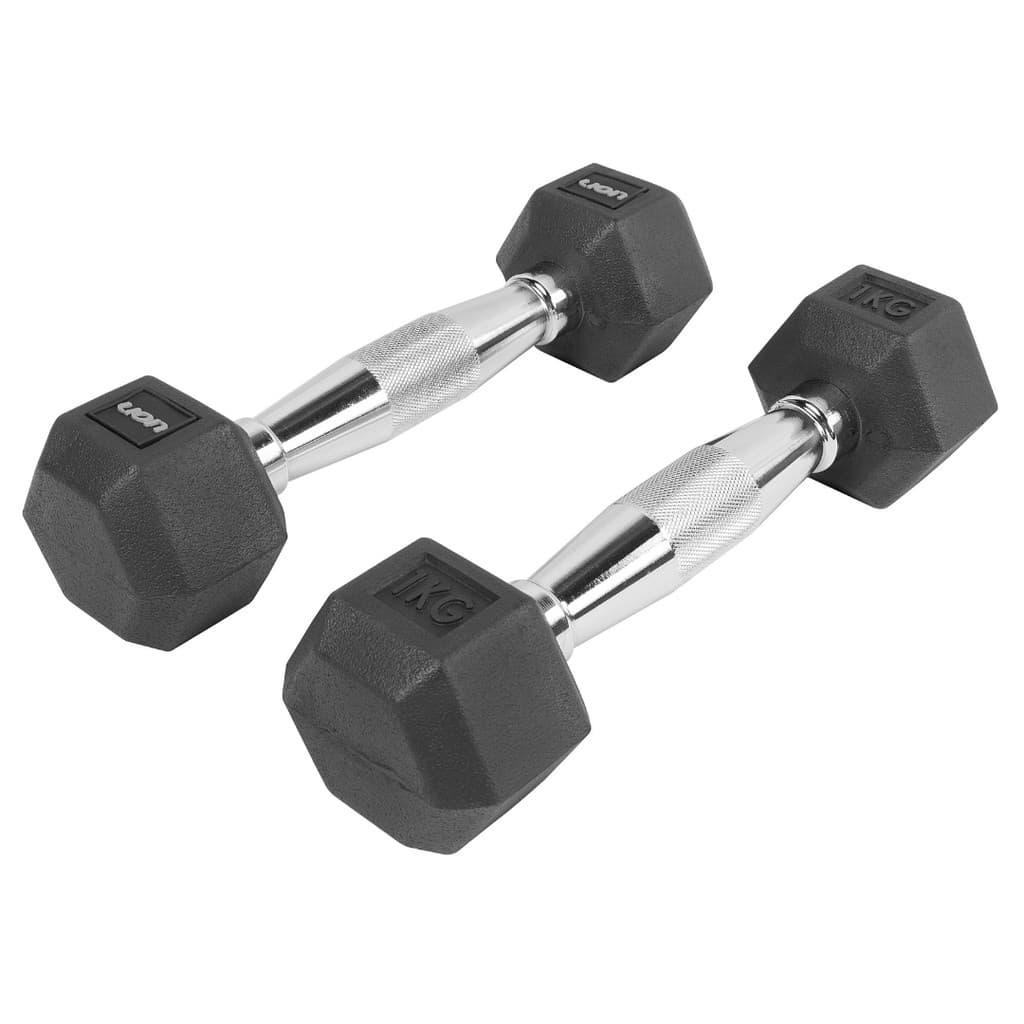 Par De Halteres Lion Performance Sextavado 1kg Aço Cromado