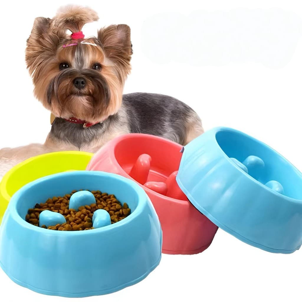 Comedouro Lento para cães cachorros anti afogamento asfixia - Tamanho médio