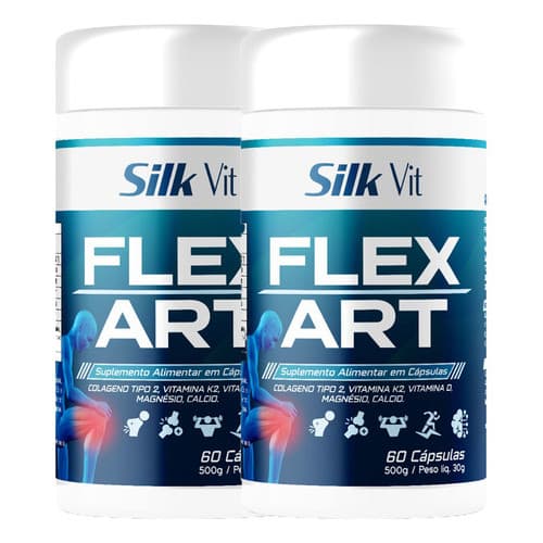 Kit 2 Flexart Colágeno Tipo 2 E Vitaminas 60 Cáps Silkvit
