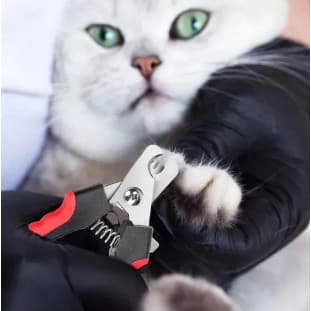 Alicate Cortador De Unhas Para Pets Para Cães Gatos Uso Profissional Leve Seguro Preciso