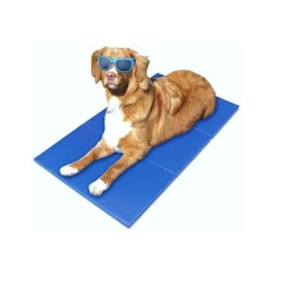 Tapete Gelado Refrescante Para Pet  50x65cm