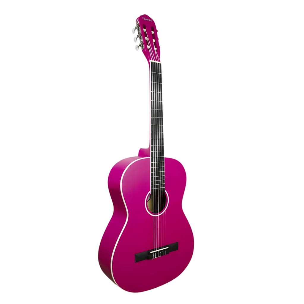 VIOLAO GIANNINI N-14 PKS START NYLON ACUSTICO COR PINK FOSCO
