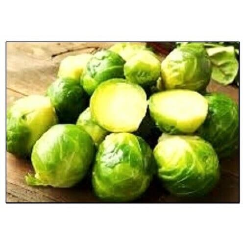 200-500 Sementes de Couve de Bruxelas Long Island | Sementes Frescas para Horta e Jardim | Alta Germinação
