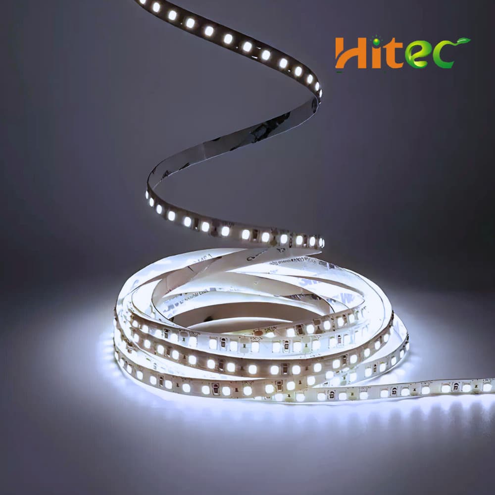 Fita LED 6500K Luz Branco Frio Hitec 12V 5M 120 Leds Natal Natalino Enfeite Metro Iluminação Moderna Sofisticado