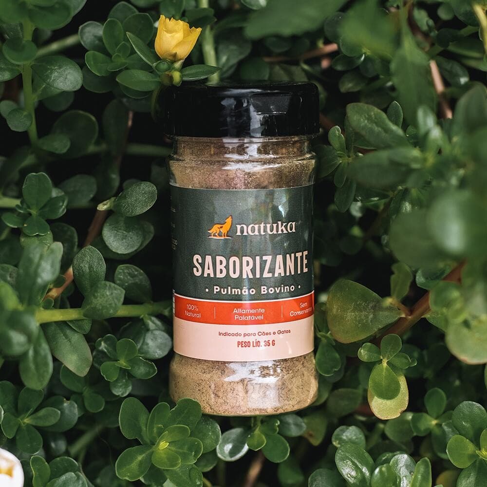 Tempero Saborizante Natural Bovino para Cães e Gatos 35g - Natuka