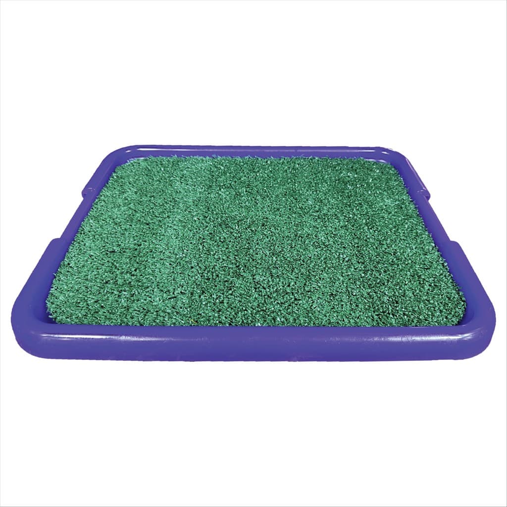 Bandeja Sanitária Para Cães Pipi Center Roxo Neon Garden