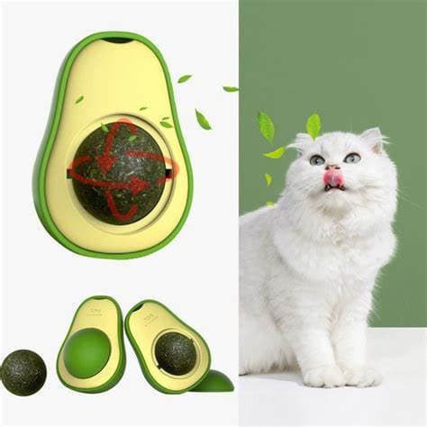 ABACATE CATNIP PARA GATINHOS DIVIRTA-SE COM O SEU GATINHO PARA GATOS