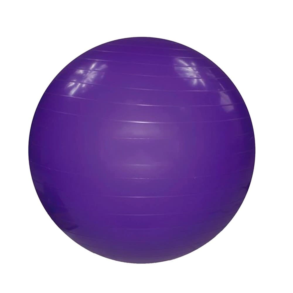 Bolas Suiça 65 Cm Pilates Ginástica Yoga Abdominal