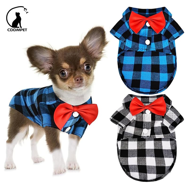 Roupa De Cachorro Camiseta Para Cães Gatos De Estimação Animais Casaco Filhote Camisa Com Laço