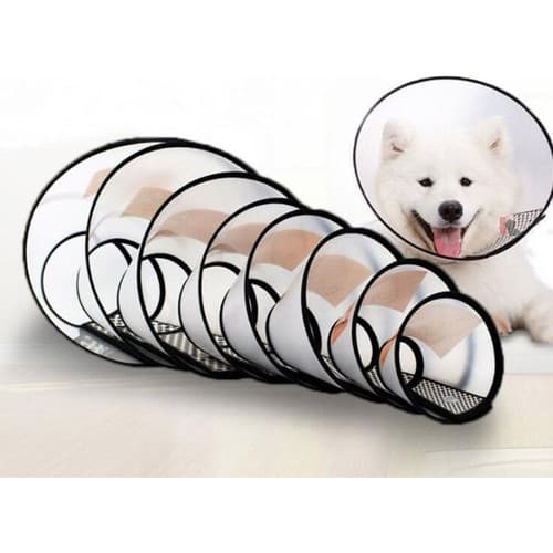 Colar Elizabetano para cães gatos cachorros filhotes pequeno médio e grande porte colar protetor