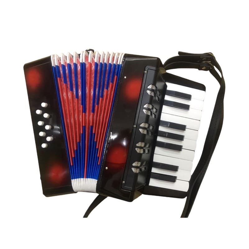 Acordeon Sanfona Gaita 8 Baixos Semiprofissional Cores Variadas