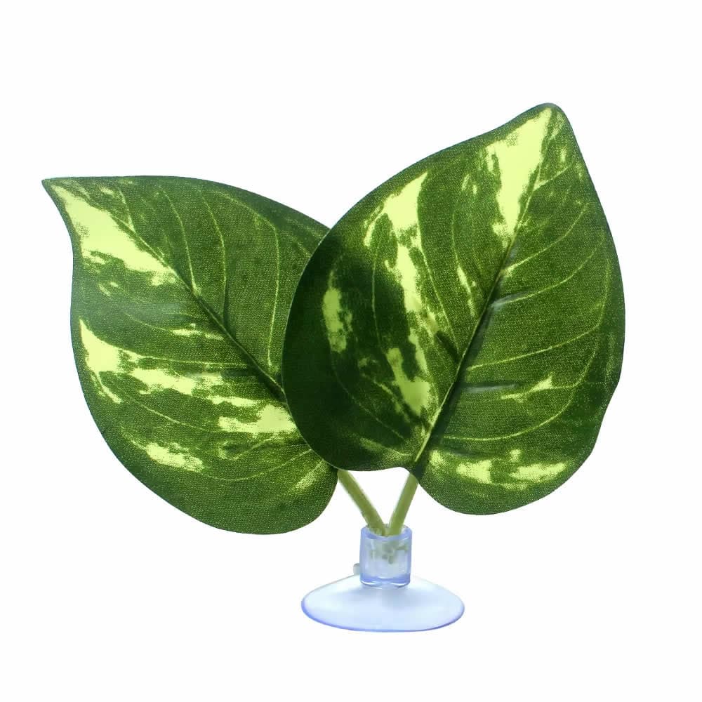 NOMOYPET NFF-62 MINI PLANTA PLAST. C/ VENTOSA DILL