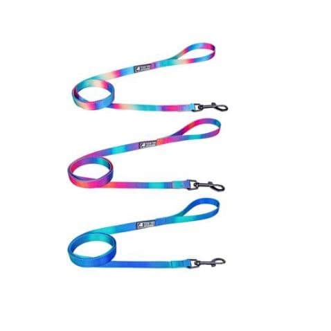 KIT REVENDA 10 COLEIRAS E 10 GUIAS TAMANHO P