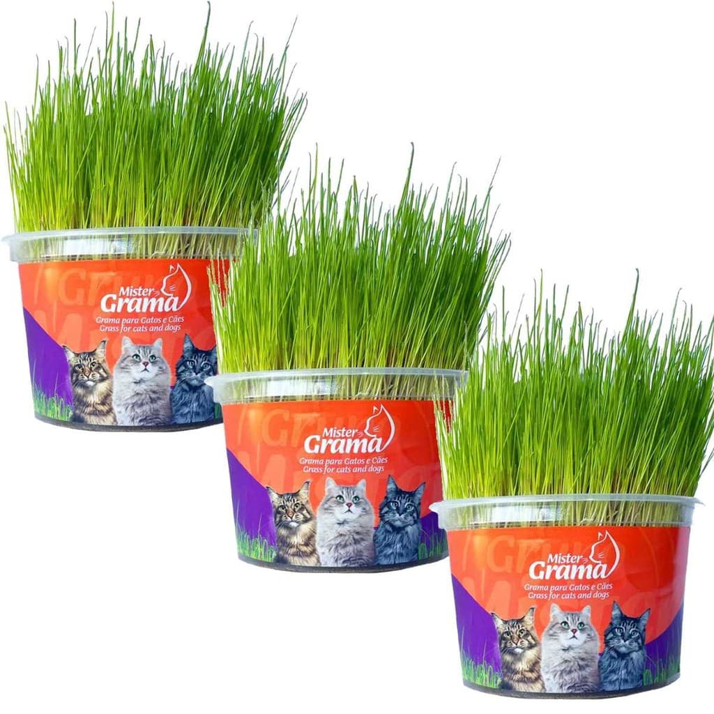 Grama Para Gatos Mister Bola De Pelo Kit 3 Unidades