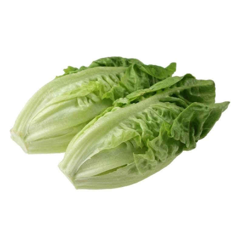 Sementes de Alface Little Gem Romana 200/500 Unidades | Hortaliça Lactuca Sativa para Horta e Jardim