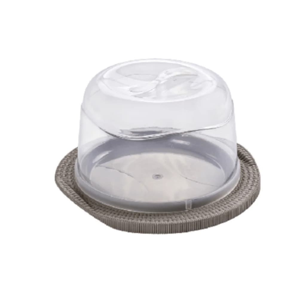 Porta Queijeira Com Tampa Transparente Plástico