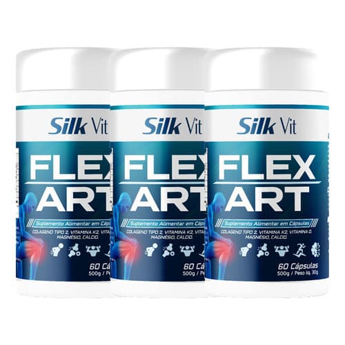 Kit 3 Flexart Colágeno Tipo 2 E Vitaminas 60 Cáps Silkvit