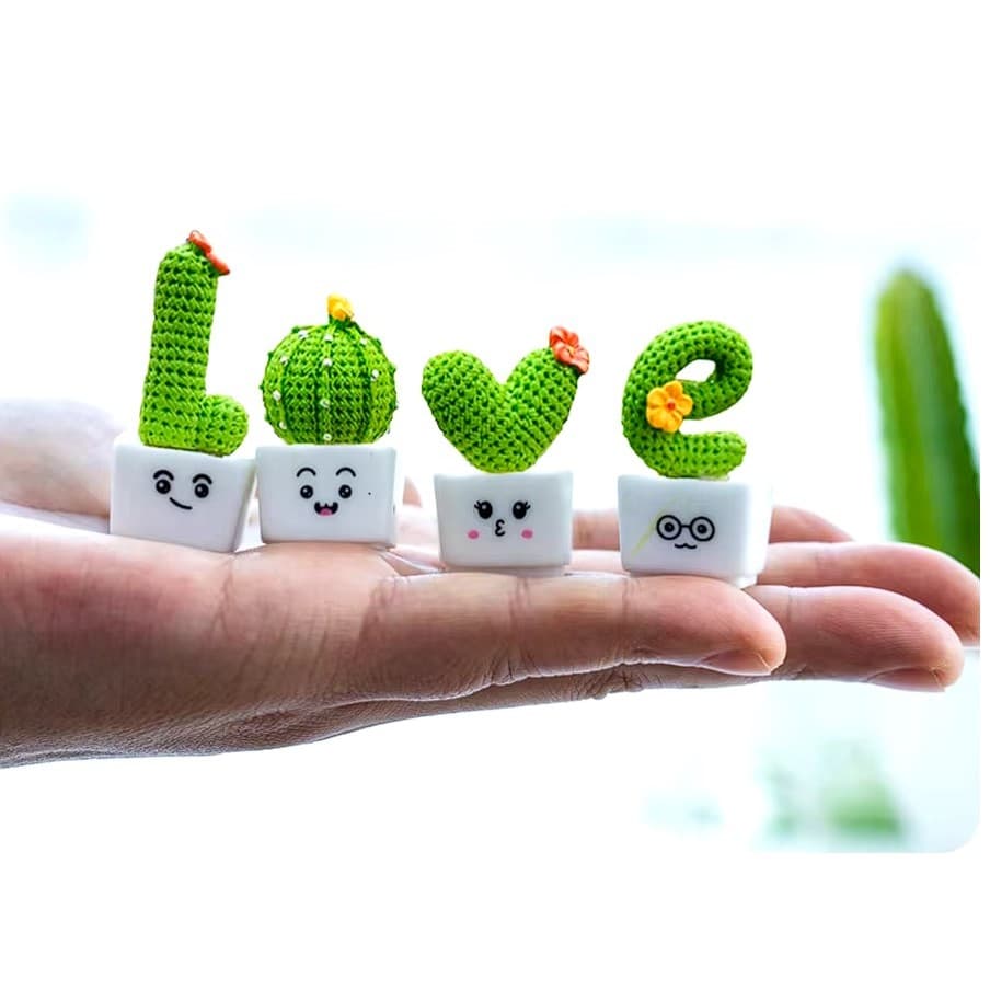 Miniatura Vasinho Cacto/Suculenta Love Mini Jardim Bonsai