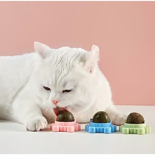 Catnip para gatos Brinquedo interativo bolinha Rotativa abacate Catnip Patinha Ovo erva do gato