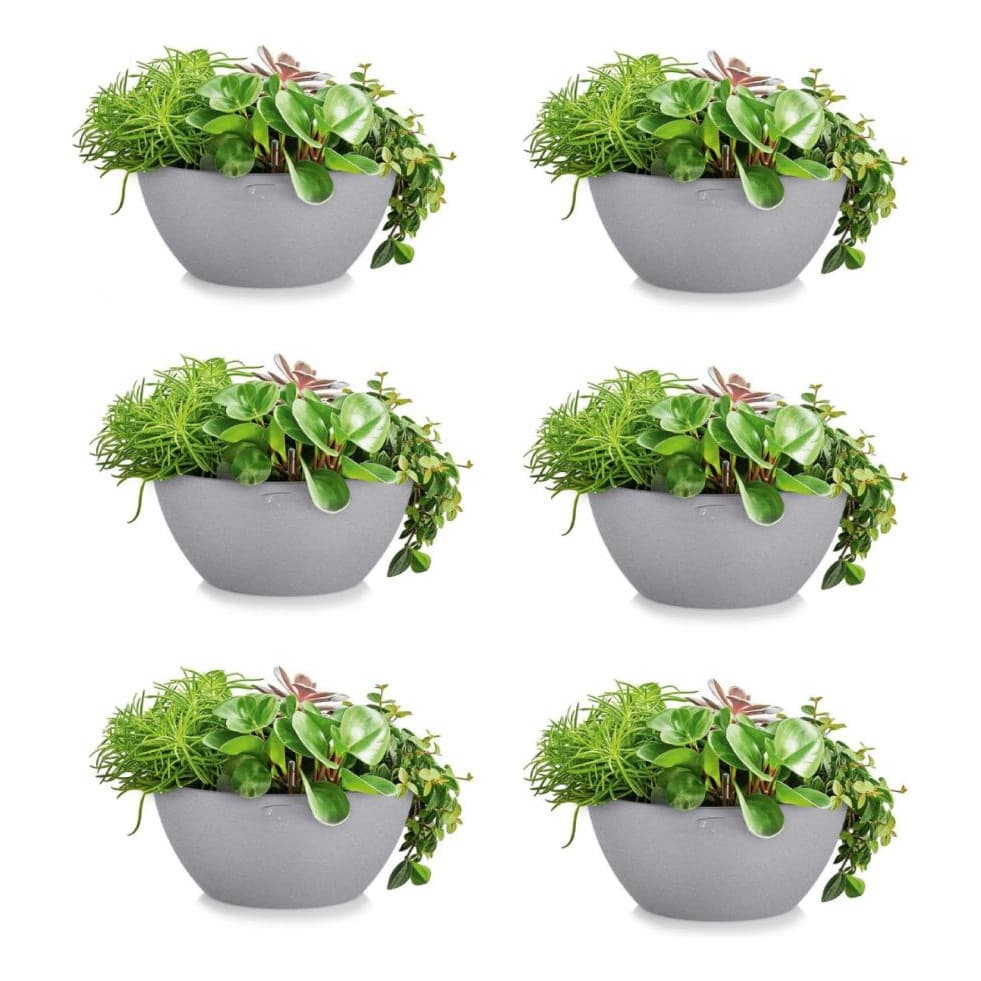 Kit 6 Vasos Para Plantas Suculenta Rosa Do Deserto 35cm