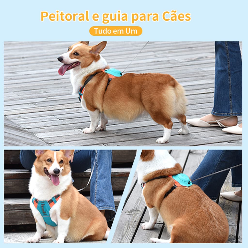 PETTALK Coleira peitoral com Guia Retrátil 2 EM 1 para cachorro XS/S/M/L/XL