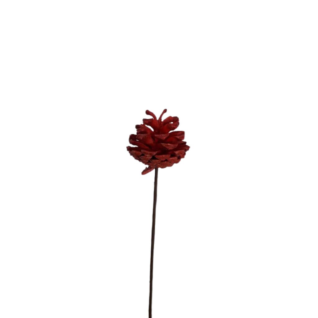 Palito De Pinha Desidratada Decorativa