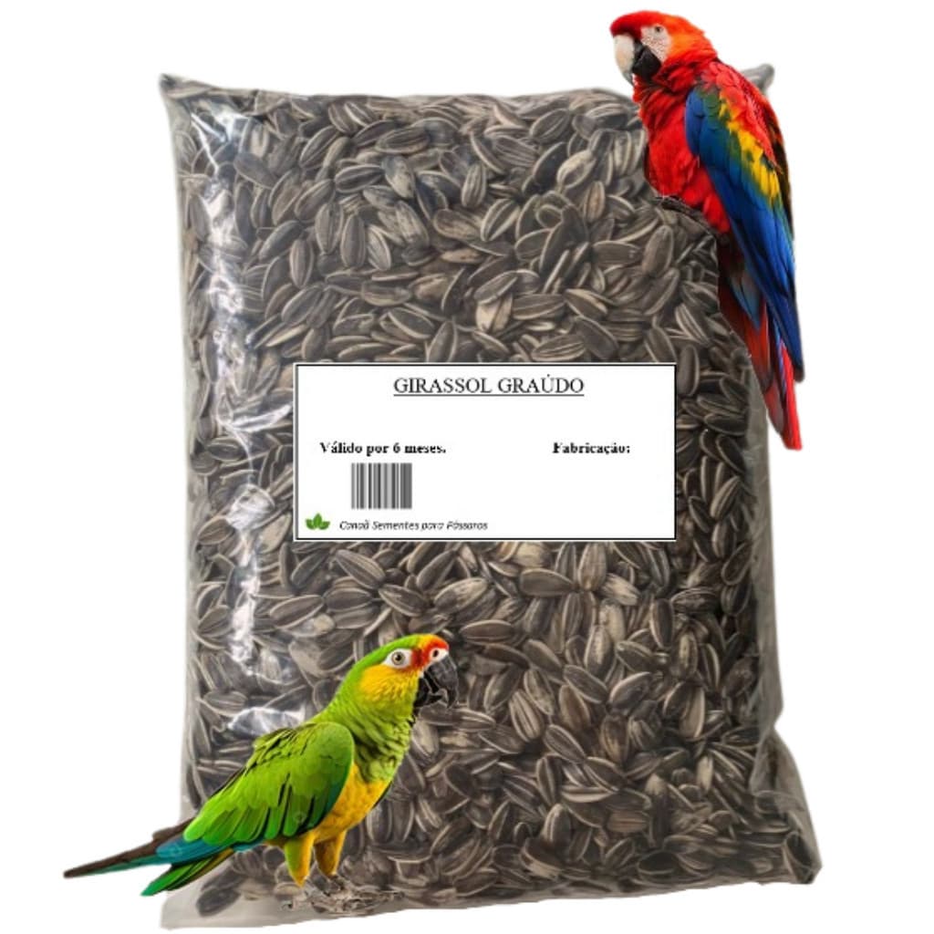 Semente Girassol Grande 5 Kg Para Pássaros Papagaio Graudo Limpa 1k, 3k e 5 Kg