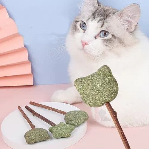 Pirulito Catnip Matatabi Brinquedo interativo para Gatos Erva do Gato Matatabi com Catnip