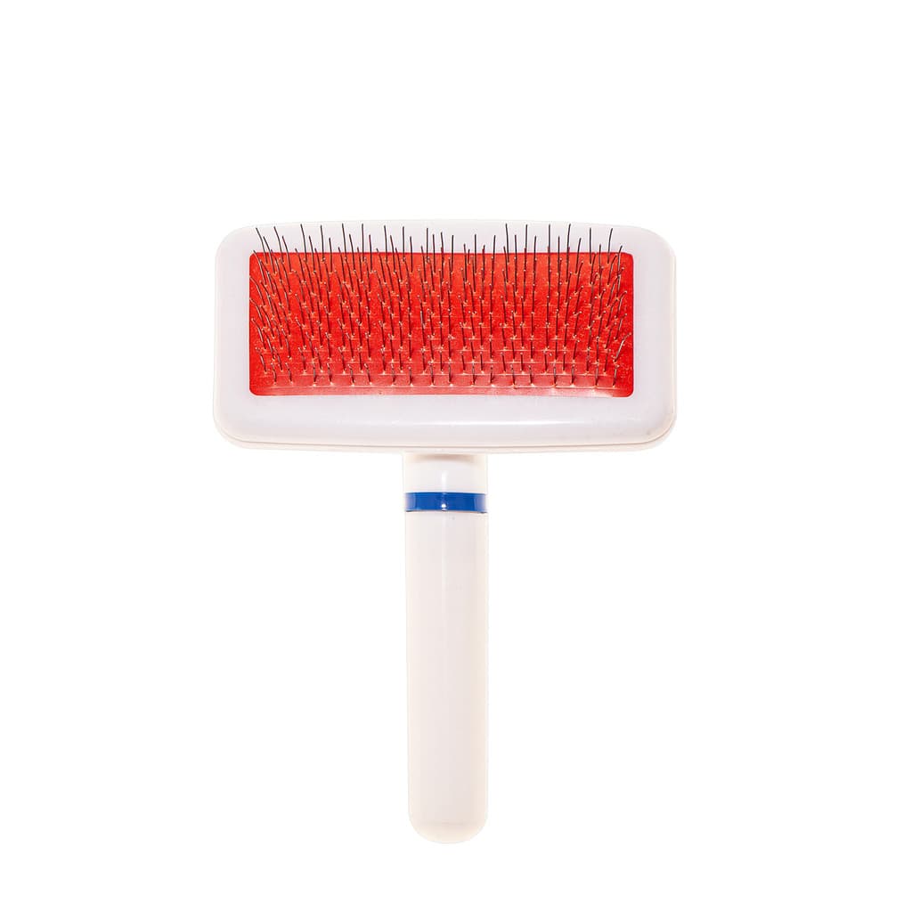Rasqueadeira Para Pets Remove Pelos Mortos Cães e Gatos P