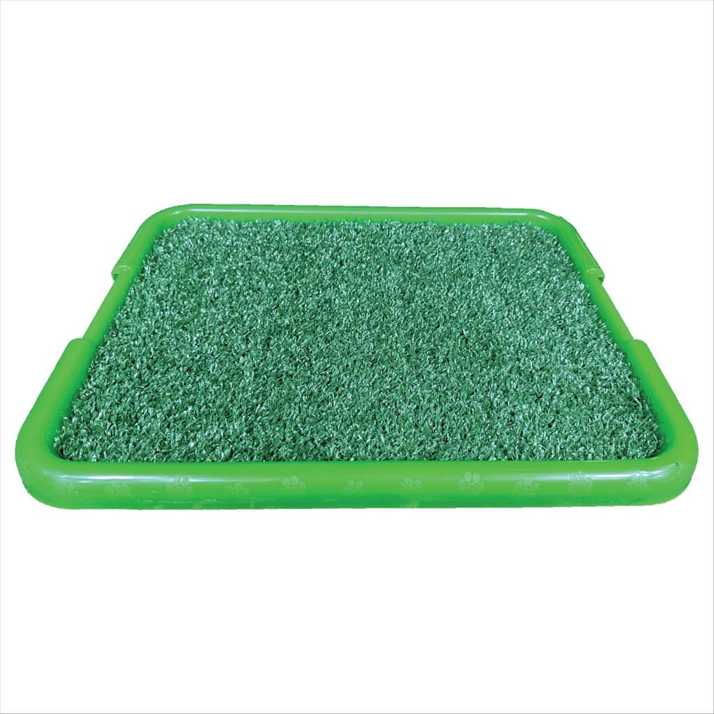 Bandeja Sanitária Para Cães Pipi Center Verde Neon Garden