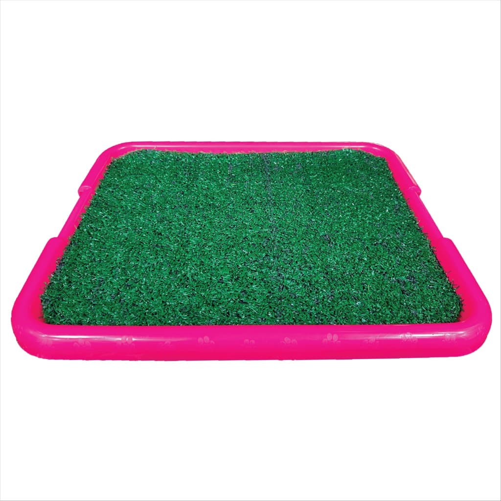 Bandeja Sanitária Para Cães Pipi Center Rosa Neon Garden