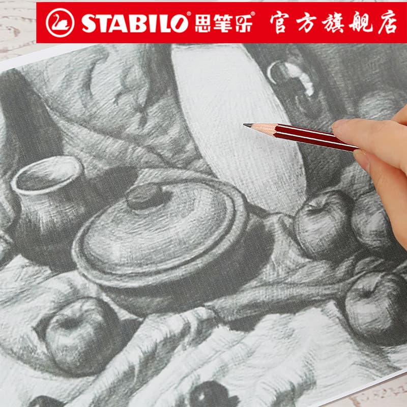 Lápis de Desenho/Carvão Stabilo 283, Macio, Médio, Duro, para Desenho à Mão e Pintura, Arte Profissional, Artes Visuais